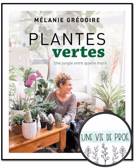 Plantes vertes