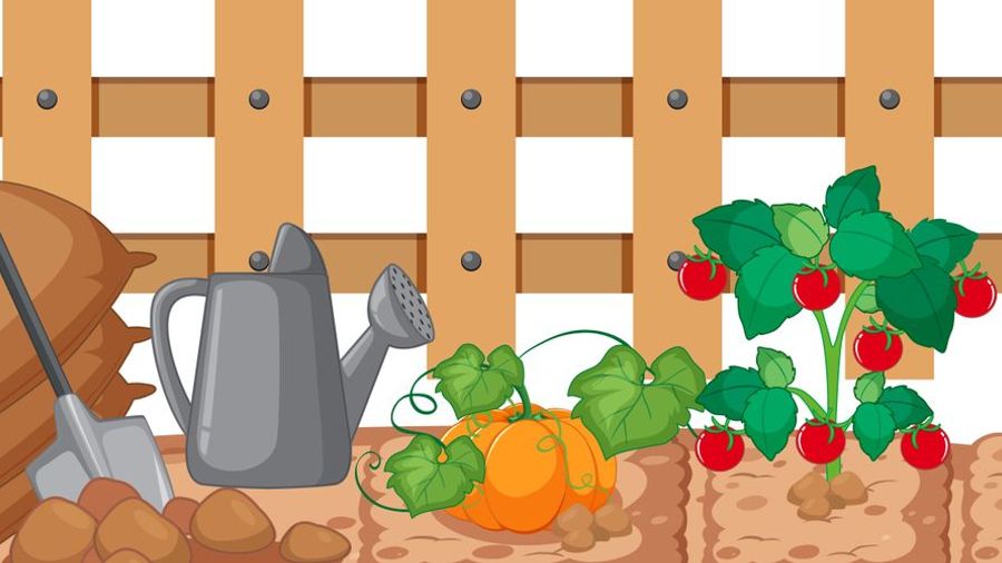 La littérature jeunesse dans mon assiette!